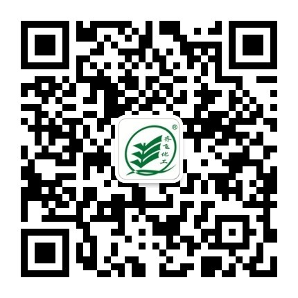 好色先生污版网站 好色先生污版网站